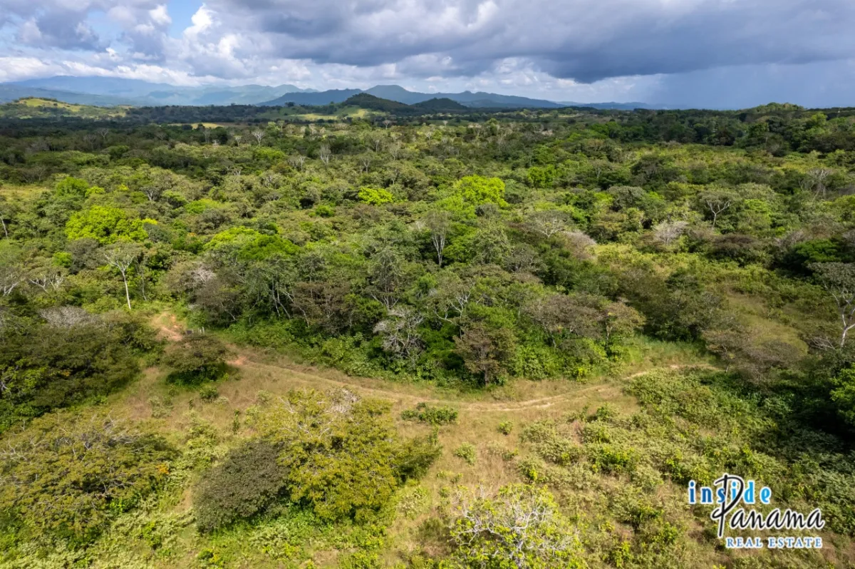 Expansive Sea Access Finca in Las Lajas Chiriqui Panama