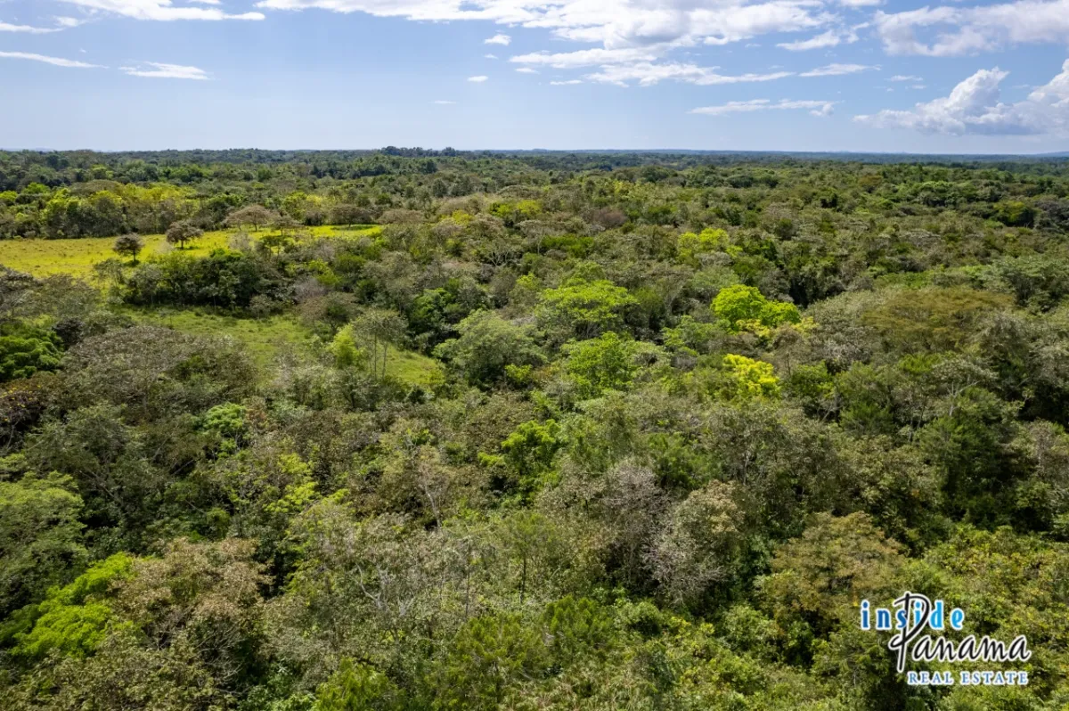 Expansive Sea Access Finca in Las Lajas Chiriqui Panama