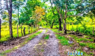 30 Acre Riverfront Farm Property For Sale Near Boquete