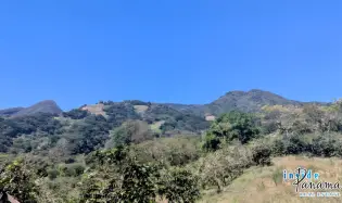 2 Ha Coffee Farm with Full Infrastructure in Boquete