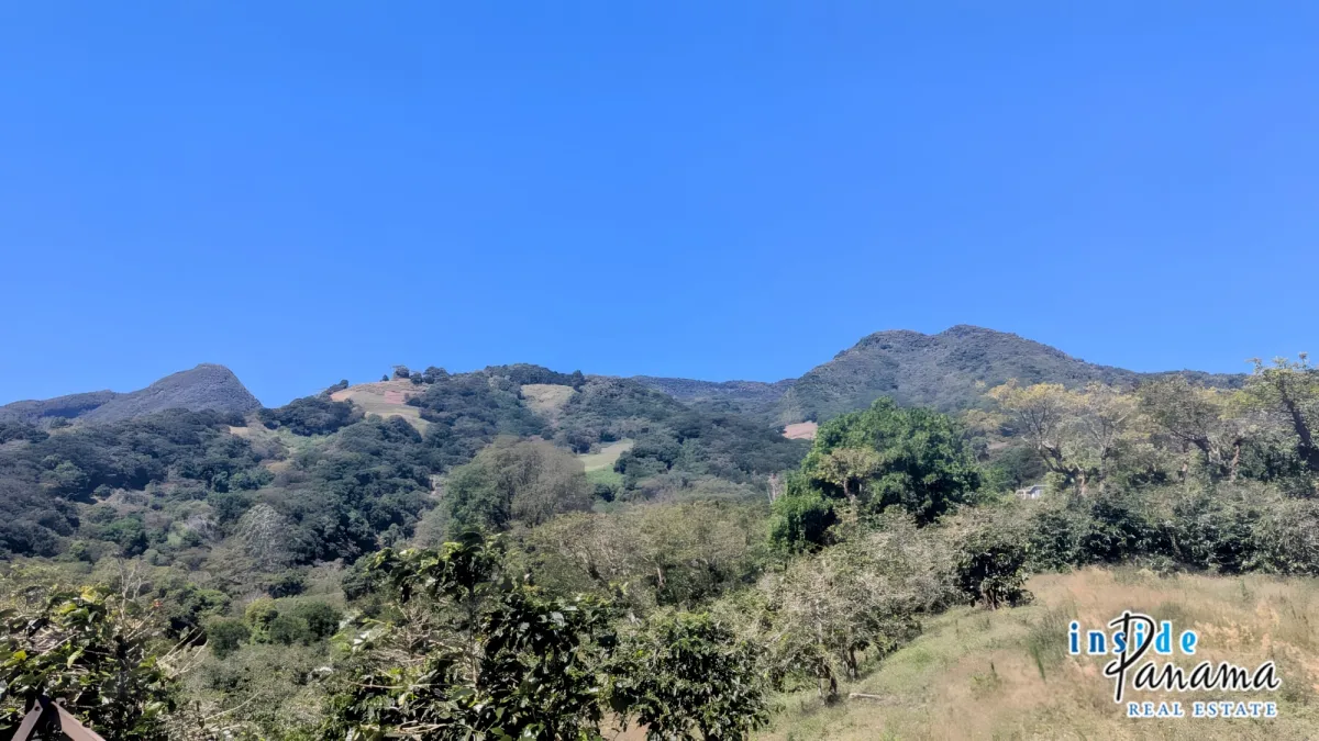 2 Ha Coffee Farm with Full Infrastructure in Boquete