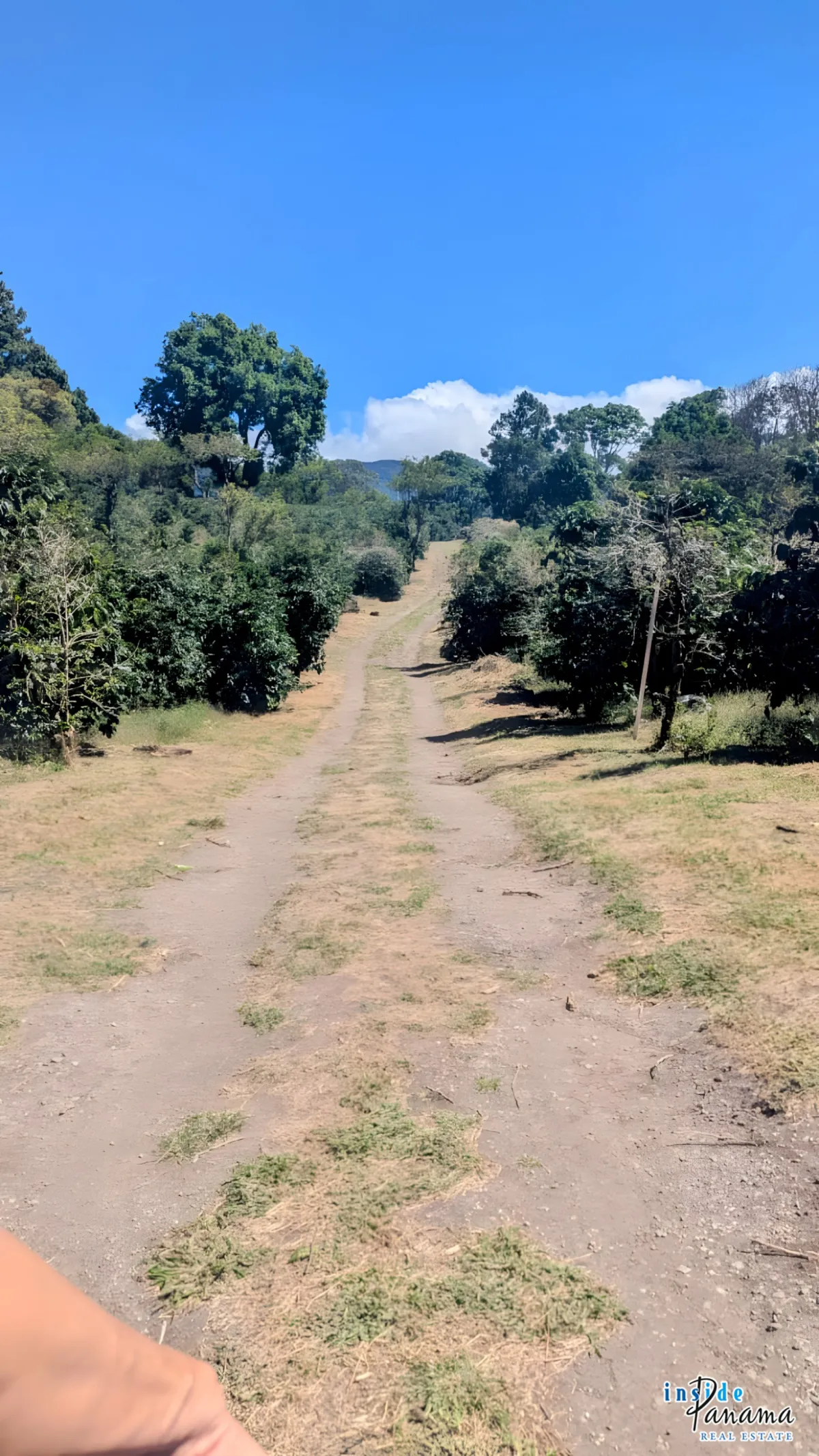 2 Ha Coffee Farm with Full Infrastructure in Boquete