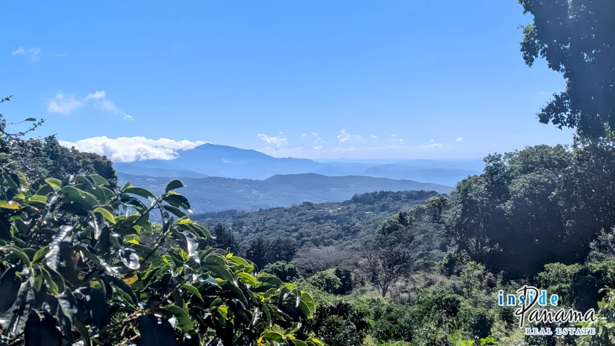 2 Ha Coffee Farm with Full Infrastructure in Boquete