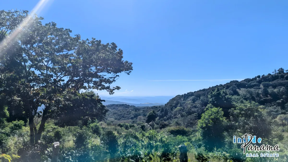 2 Ha Coffee Farm with Full Infrastructure in Boquete