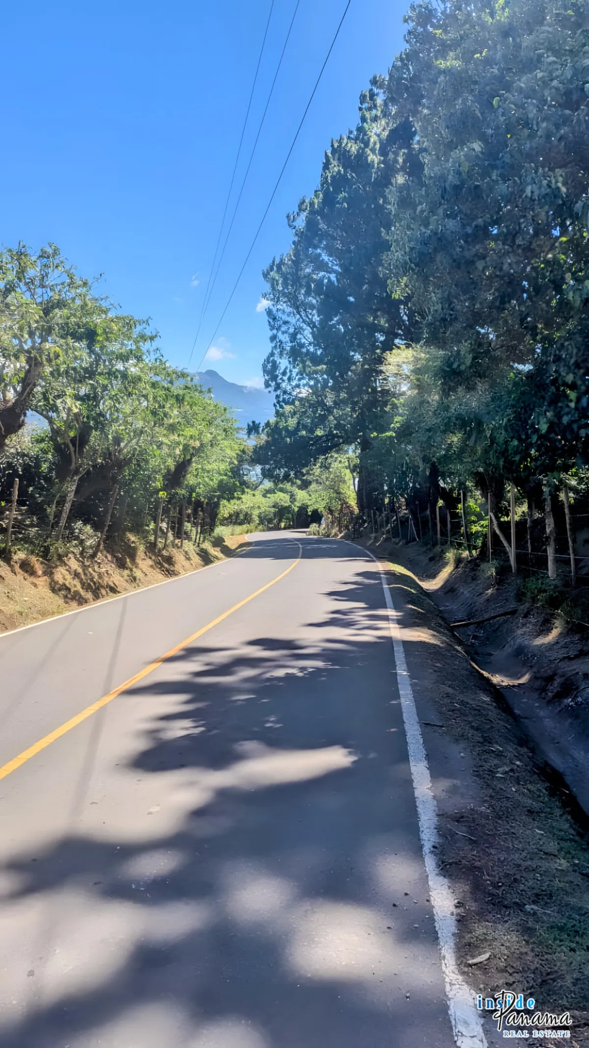 2 Ha Coffee Farm with Full Infrastructure in Boquete