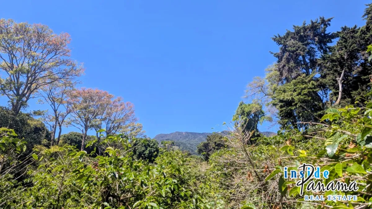 High Altitude Coffee Farm with River and Volcano Views in El Salto Boq