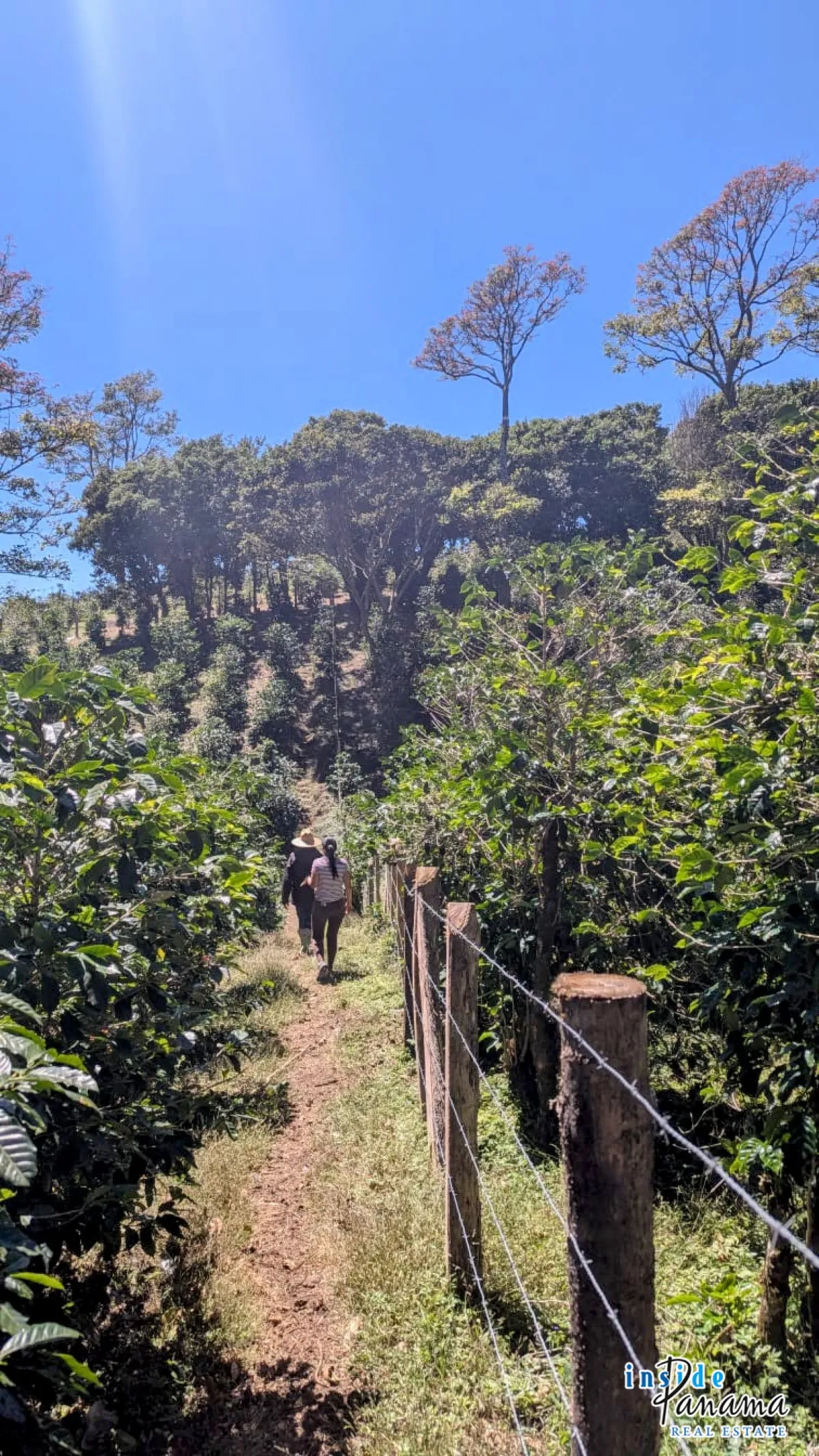 High Altitude Coffee Farm with River and Volcano Views in El Salto Boq