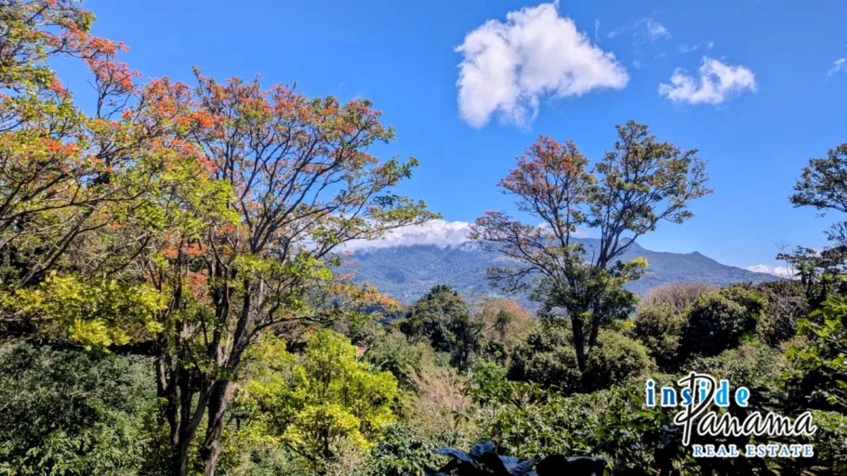 High Altitude Coffee Farm with River and Volcano Views in El Salto Boq
