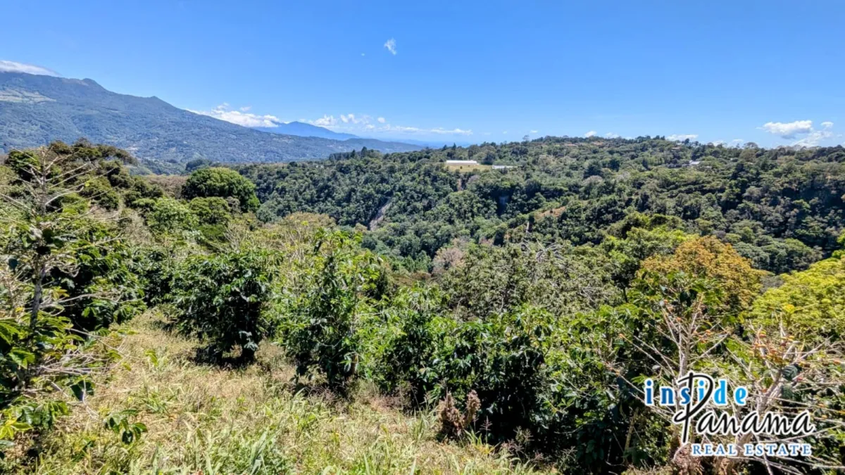 High Altitude Coffee Farm with River and Volcano Views in El Salto Boq