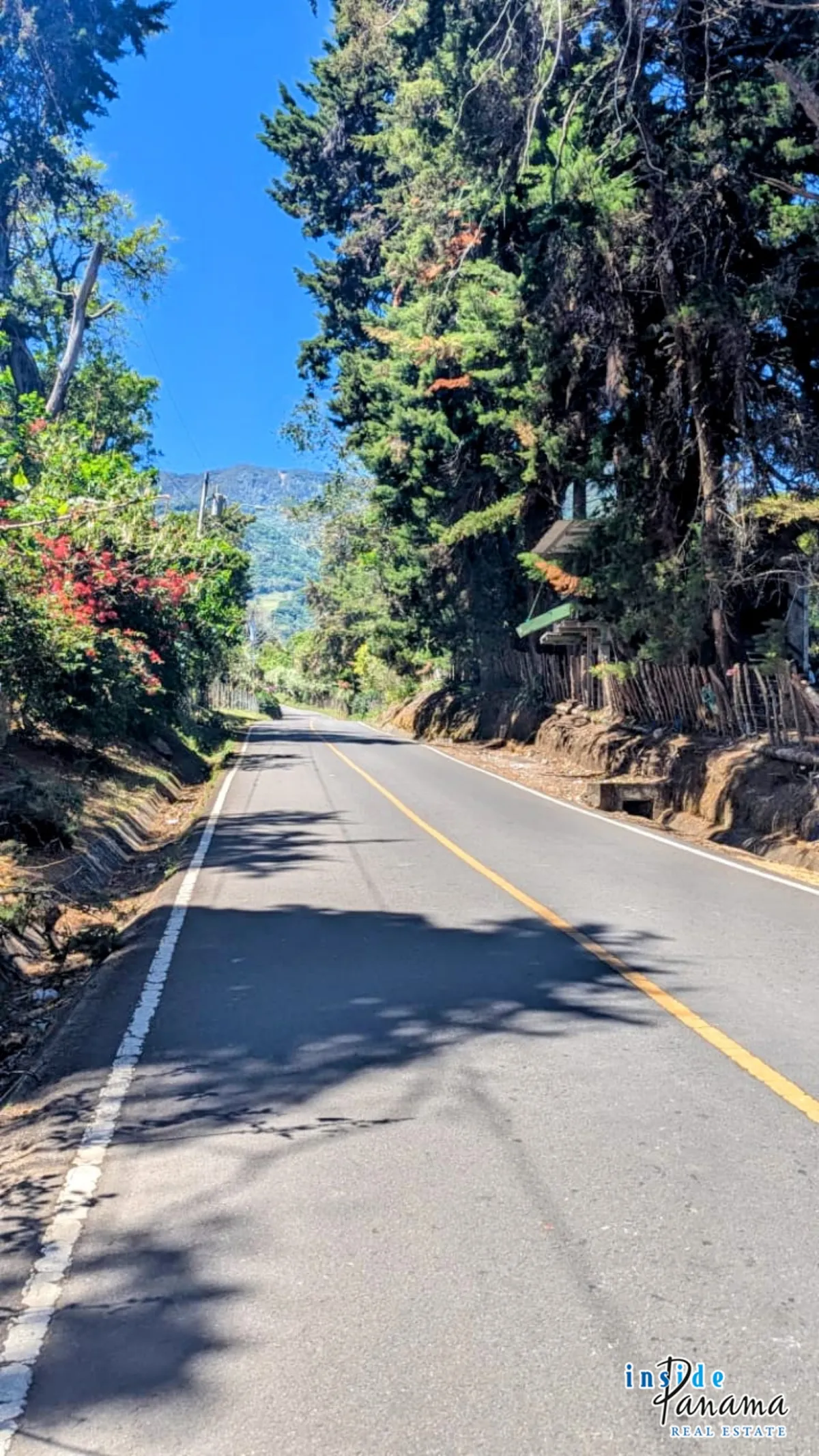 High Altitude Coffee Farm with River and Volcano Views in El Salto Boq