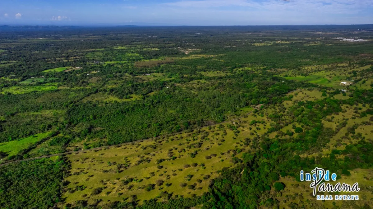 10 Hectares of Prime Land for Sale in Caldera with Volcán Barú Views