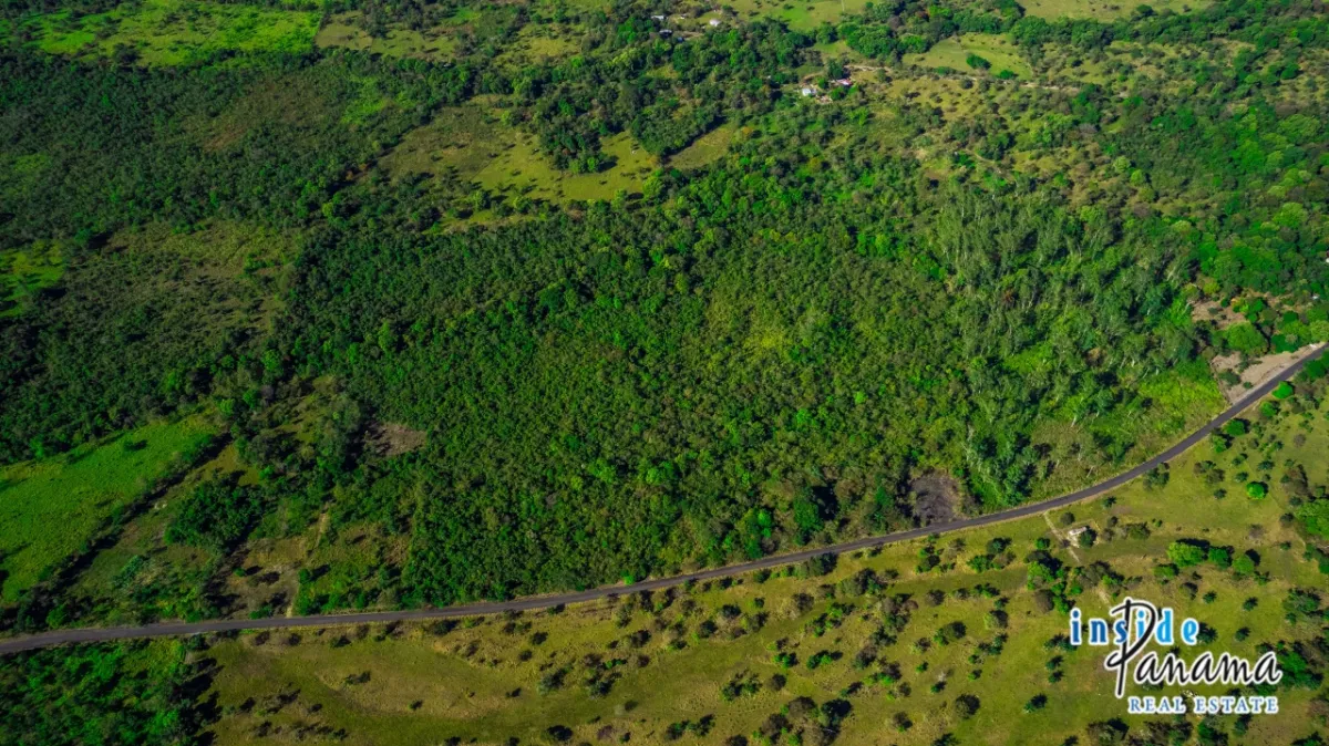 10 Hectares of Prime Land for Sale in Caldera with Volcán Barú Views