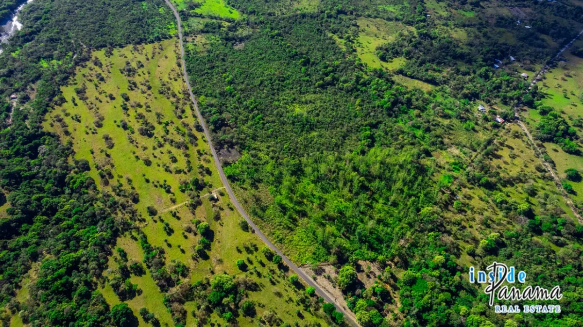 10 Hectares of Prime Land for Sale in Caldera with Volcán Barú Views