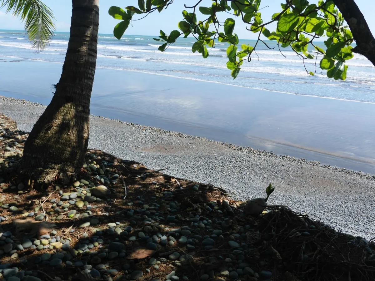 Large beachfront plot for sale in Playa Nanzal