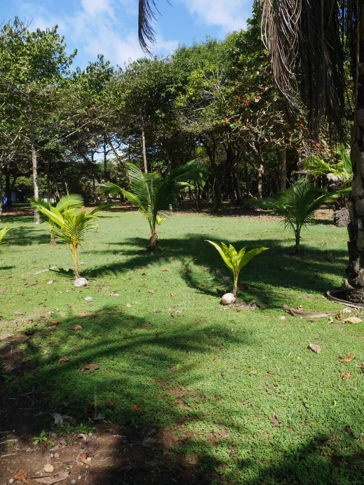 Large beachfront plot for sale in Playa Nanzal