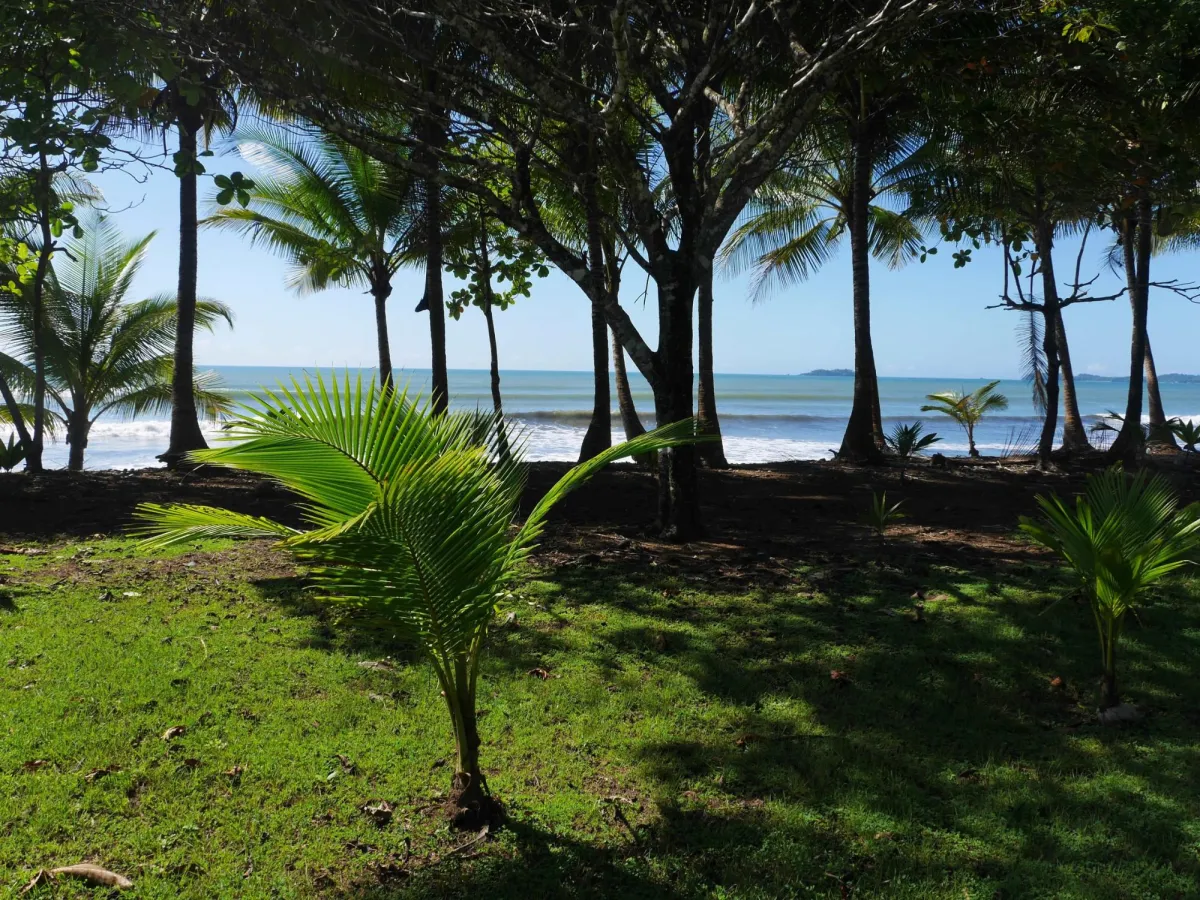 Large beachfront plot for sale in Playa Nanzal