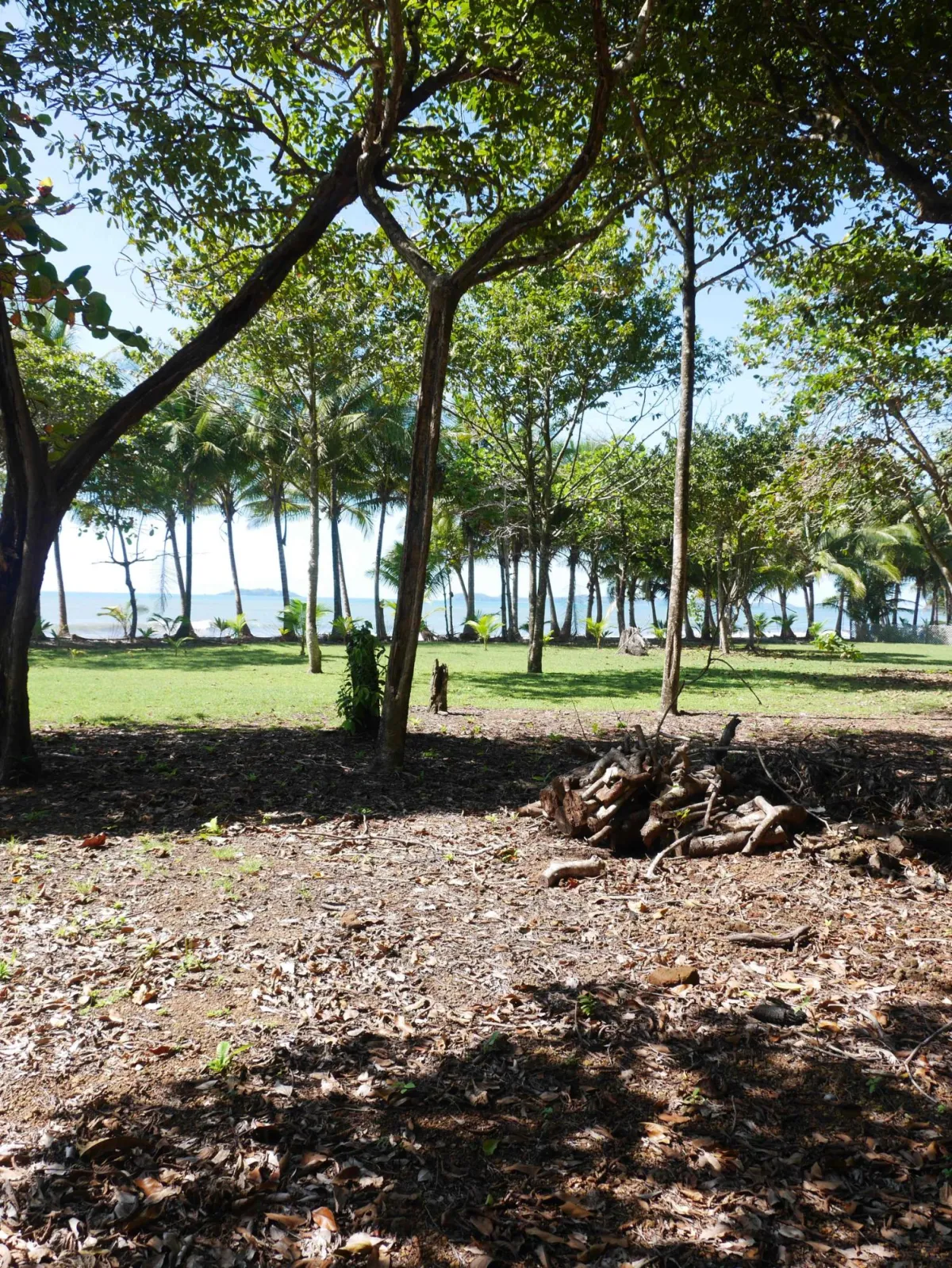 Large beachfront plot for sale in Playa Nanzal