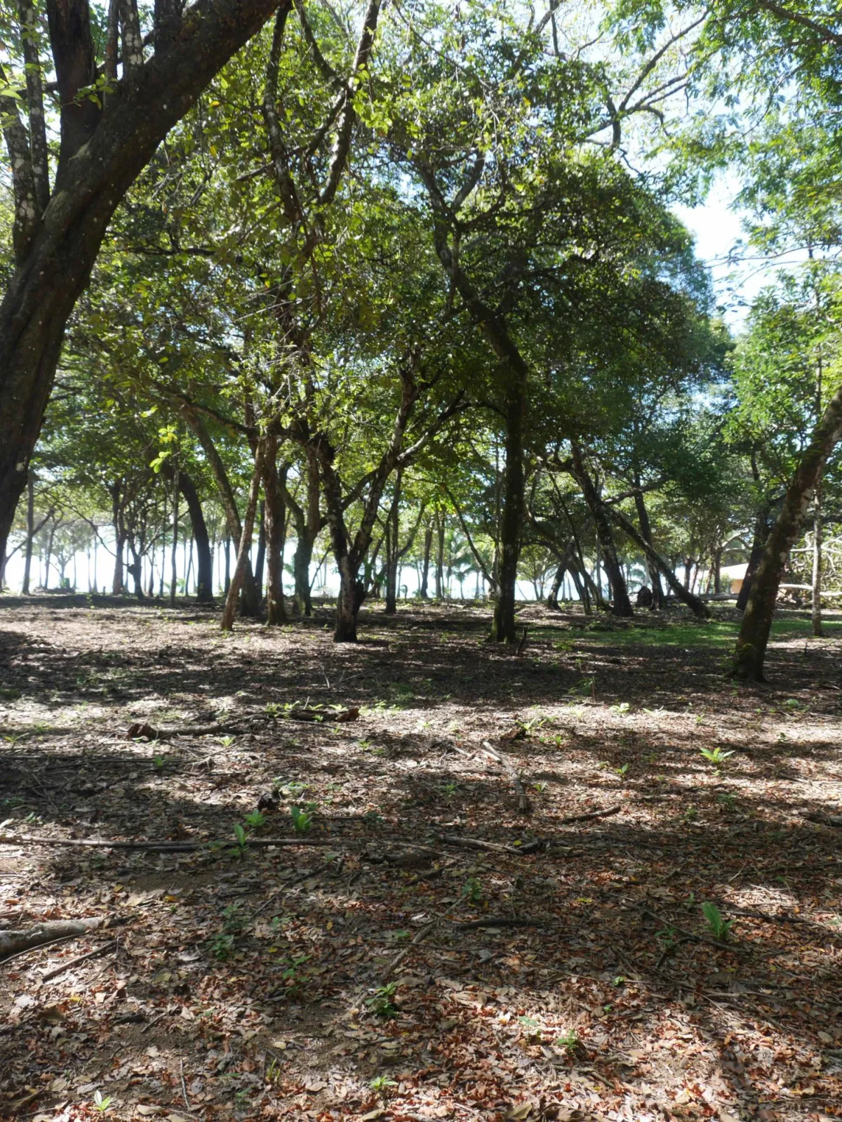 Large beachfront plot for sale in Playa Nanzal