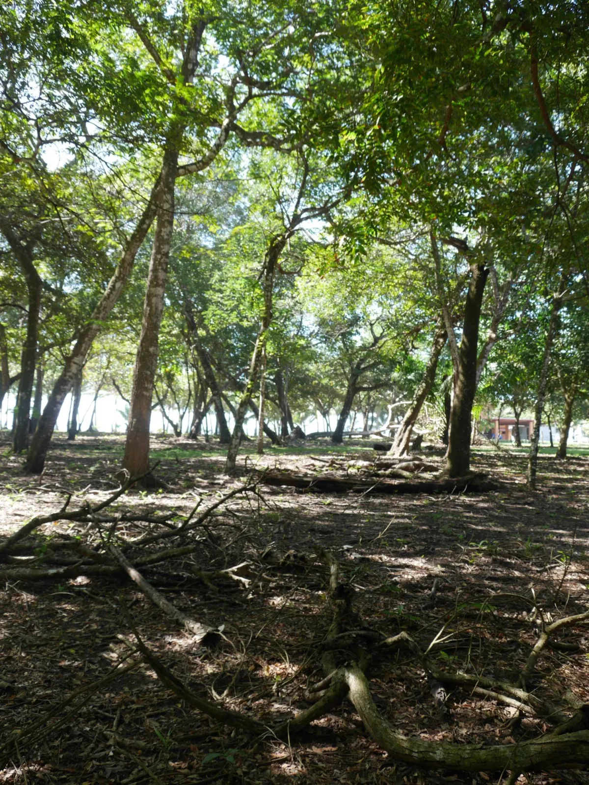 Large beachfront plot for sale in Playa Nanzal