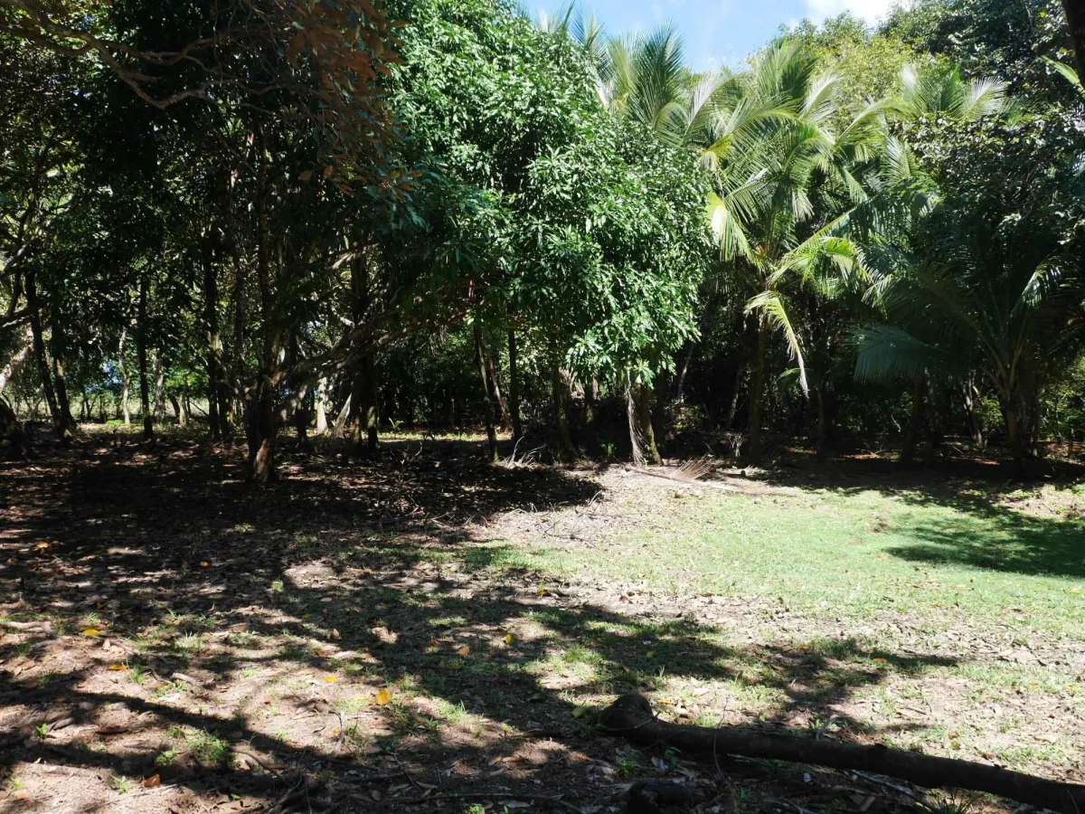 Large beachfront plot for sale in Playa Nanzal