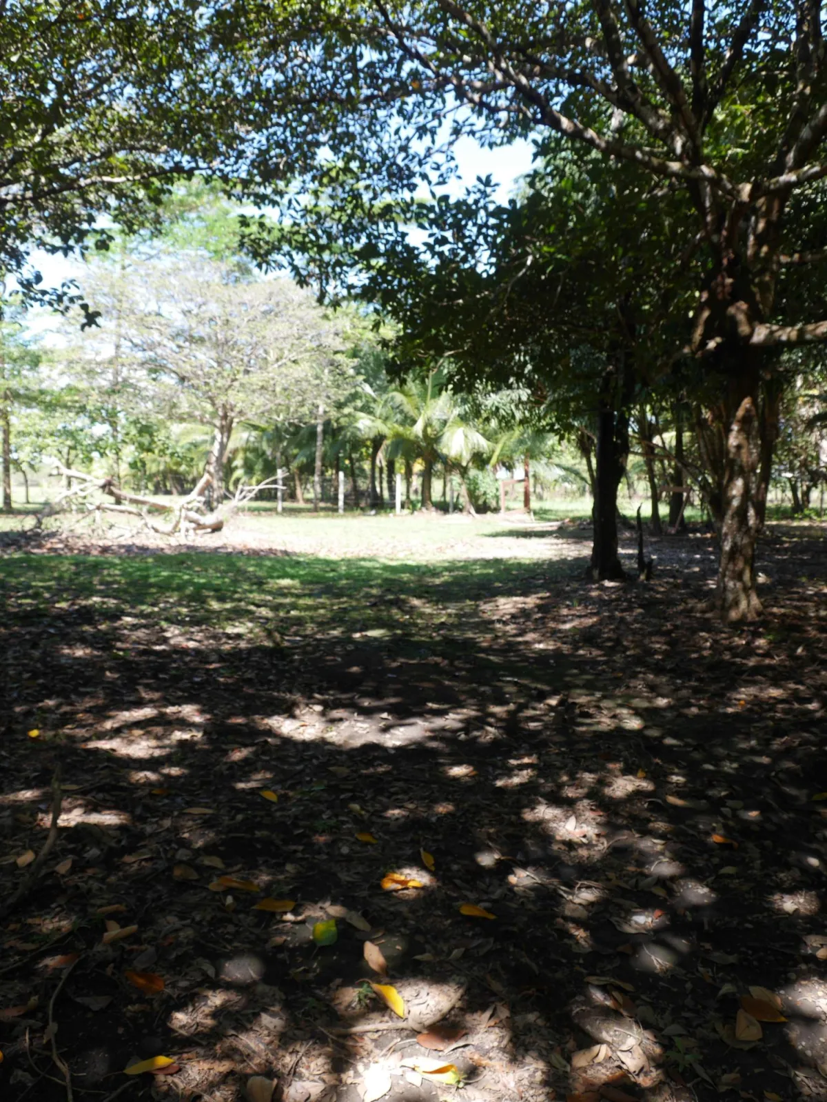 Large beachfront plot for sale in Playa Nanzal