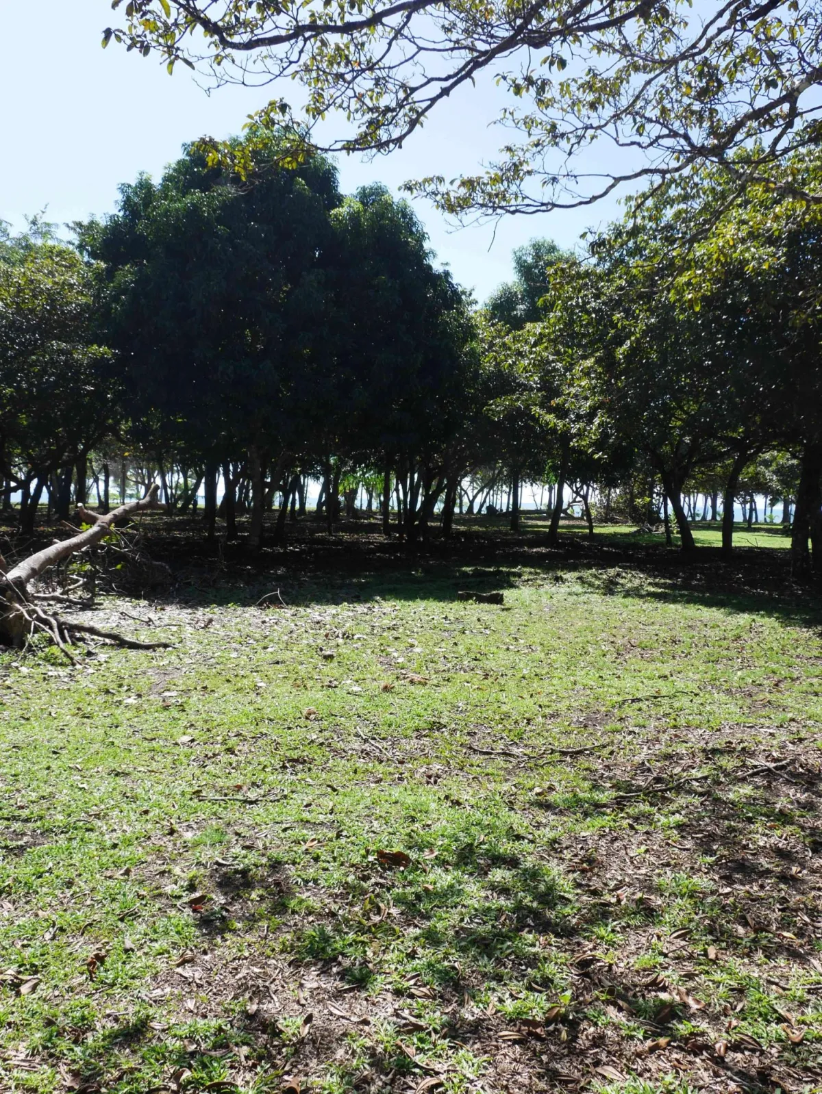 Large beachfront plot for sale in Playa Nanzal