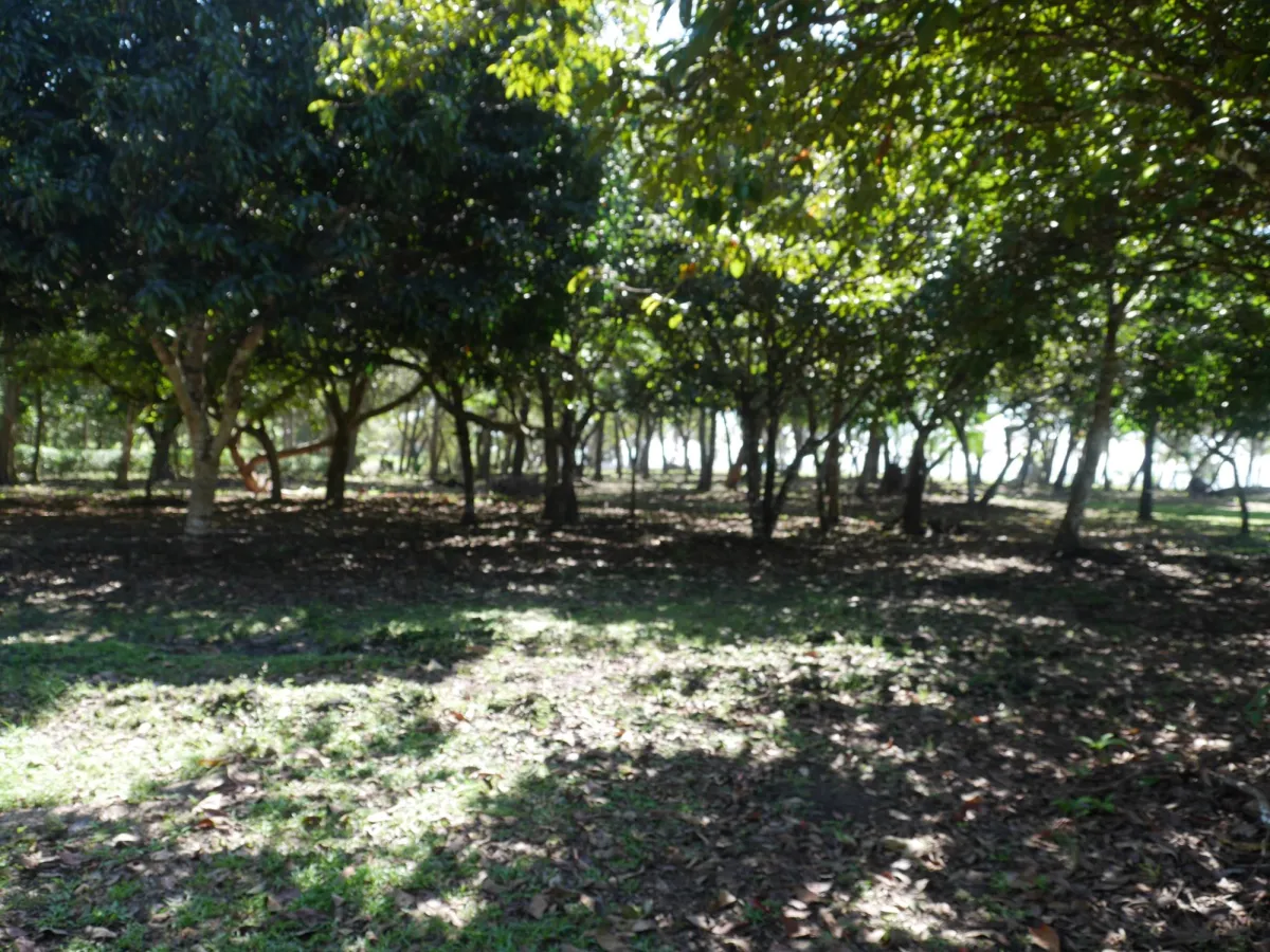 Large beachfront plot for sale in Playa Nanzal