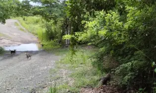 LAND FOR BUILDING HOUSES/BUILDINGS