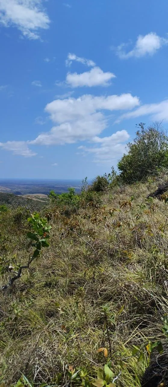 LAND FOR BUILDING HOUSES/BUILDINGS