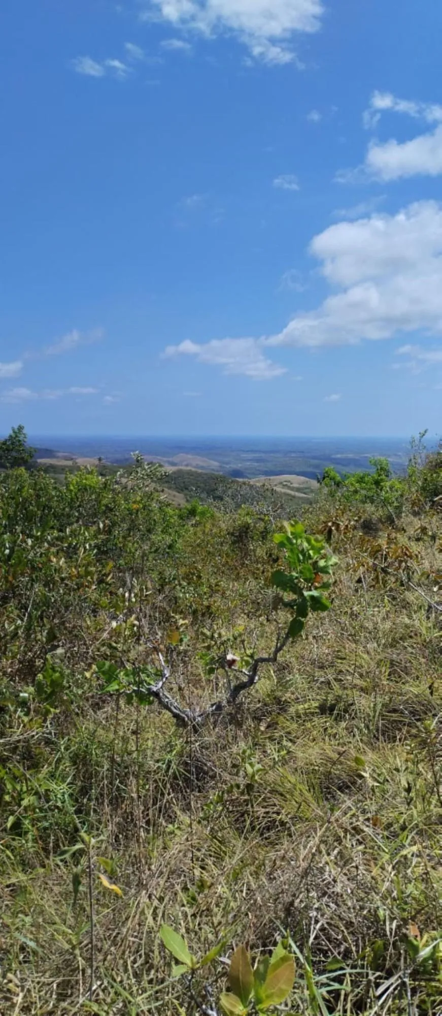 LAND FOR BUILDING HOUSES/BUILDINGS