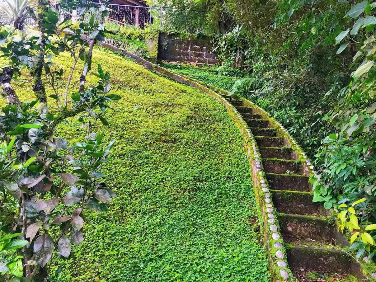 Rare Mountain Estate &amp; Development Land in Boquete
