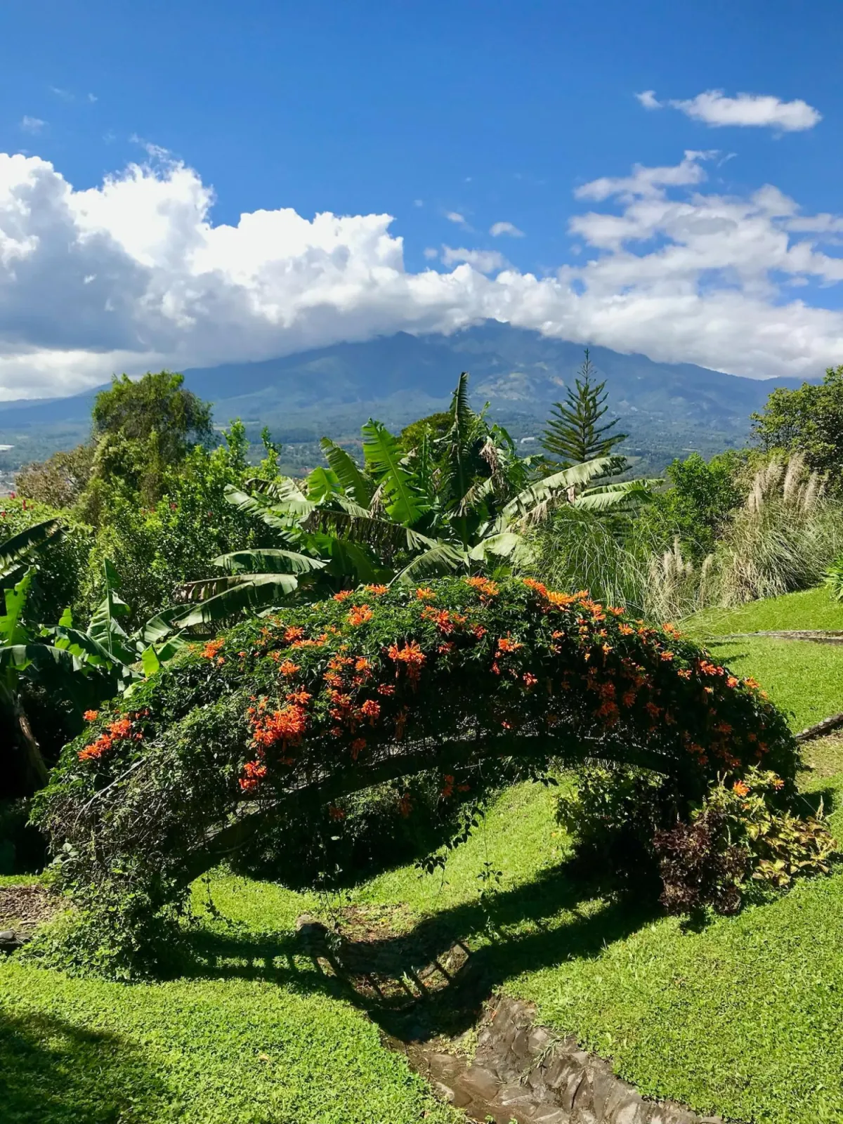 Rare Mountain Estate &amp; Development Land in Boquete