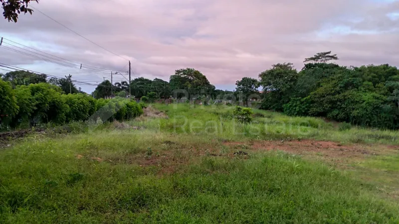 Land Sale in Puerto Caimito, La Chorrera