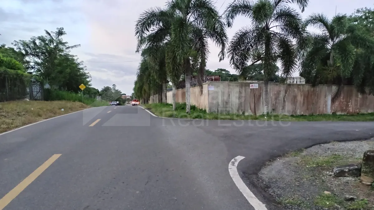 Land Sale in Puerto Caimito, La Chorrera