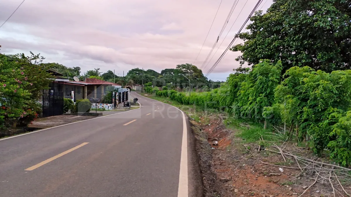 Land Sale in Puerto Caimito, La Chorrera