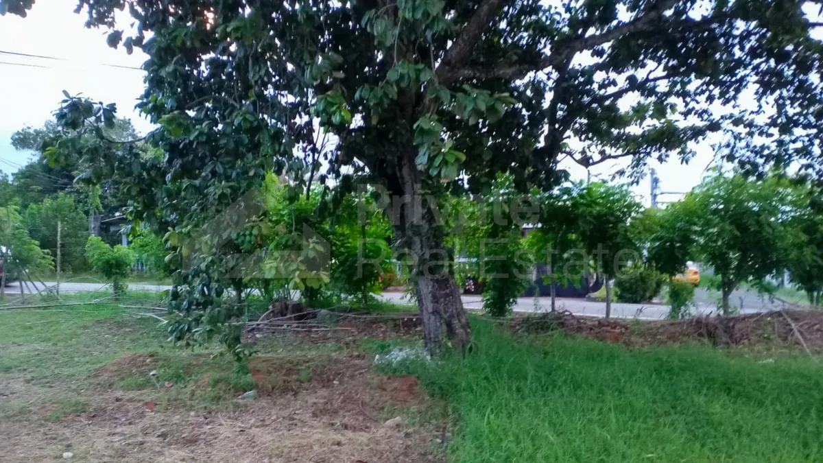 Land Sale in Puerto Caimito, La Chorrera