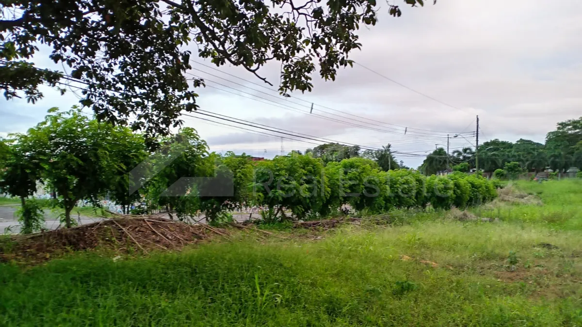 Land Sale in Puerto Caimito, La Chorrera