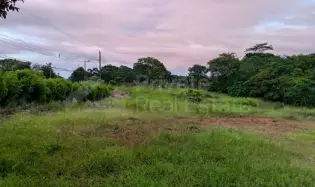 Land Sale in Puerto Caimito, La Chorrera