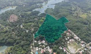 Land Sale in Nuevo Vigía Colón