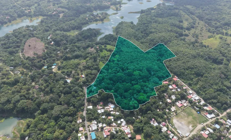 Land Sale in Nuevo Vigía Colón