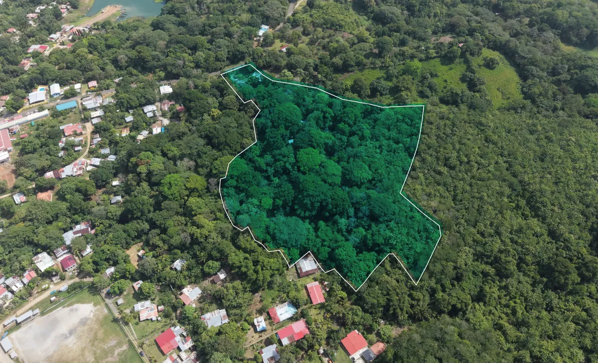 Land Sale in Nuevo Vigía Colón
