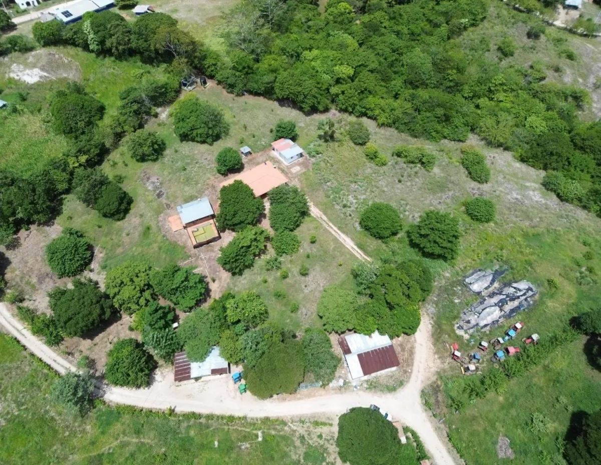 13.6 ha poultry farm with river, Natá, Coclé