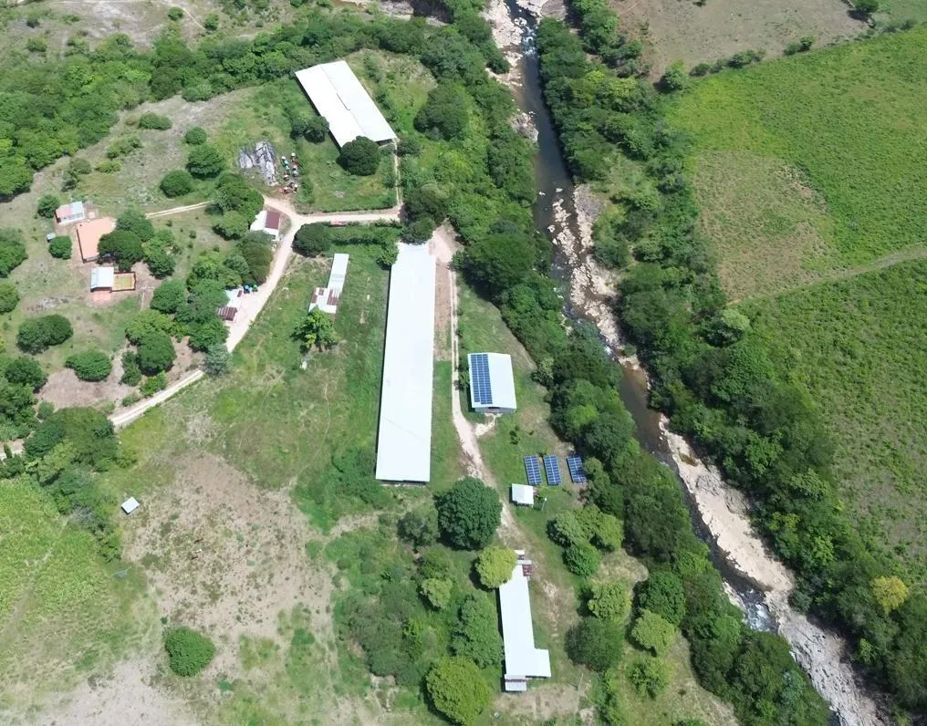 13.6 ha poultry farm with river, Natá, Coclé