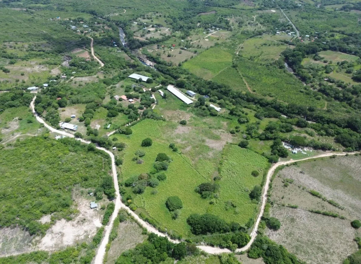 13.6 ha poultry farm with river, Natá, Coclé