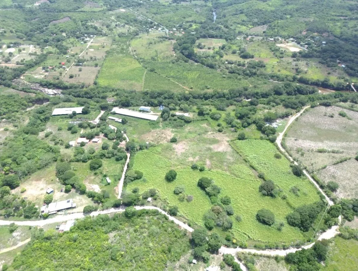 13.6 ha poultry farm with river, Natá, Coclé