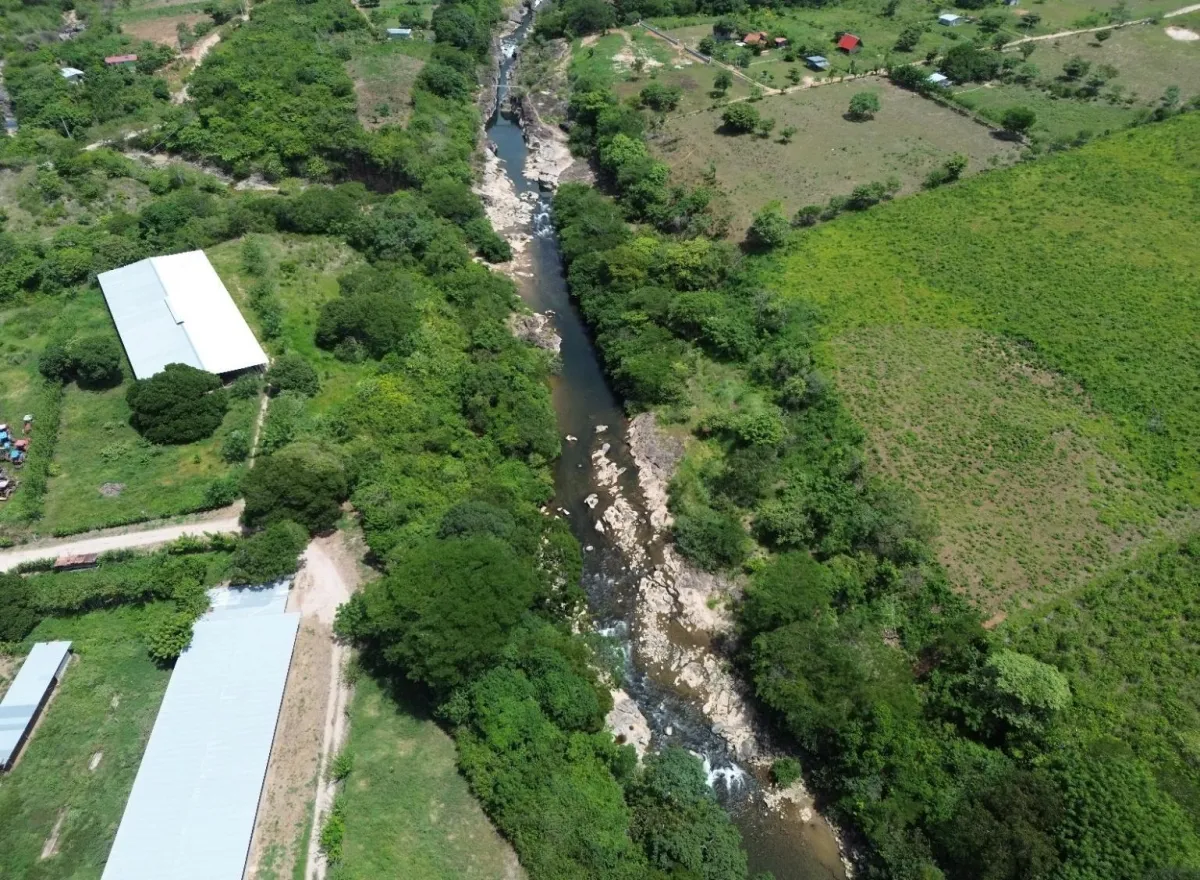13.6 ha poultry farm with river, Natá, Coclé