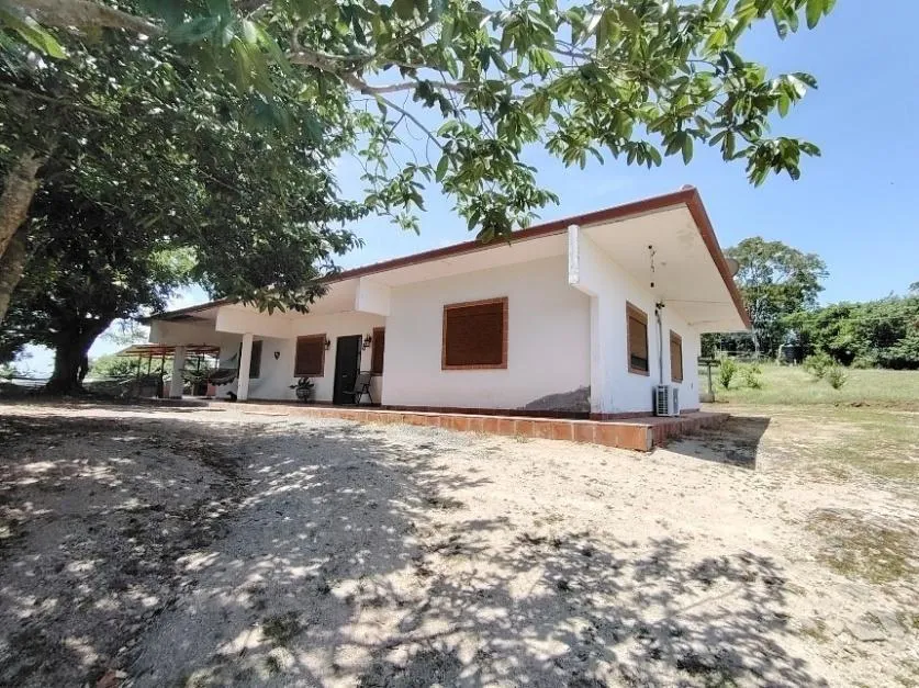 13.6 ha poultry farm with river, Natá, Coclé