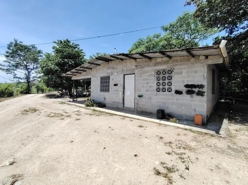 13.6 ha poultry farm with river, Natá, Coclé
