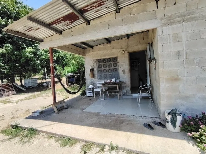 13.6 ha poultry farm with river, Natá, Coclé