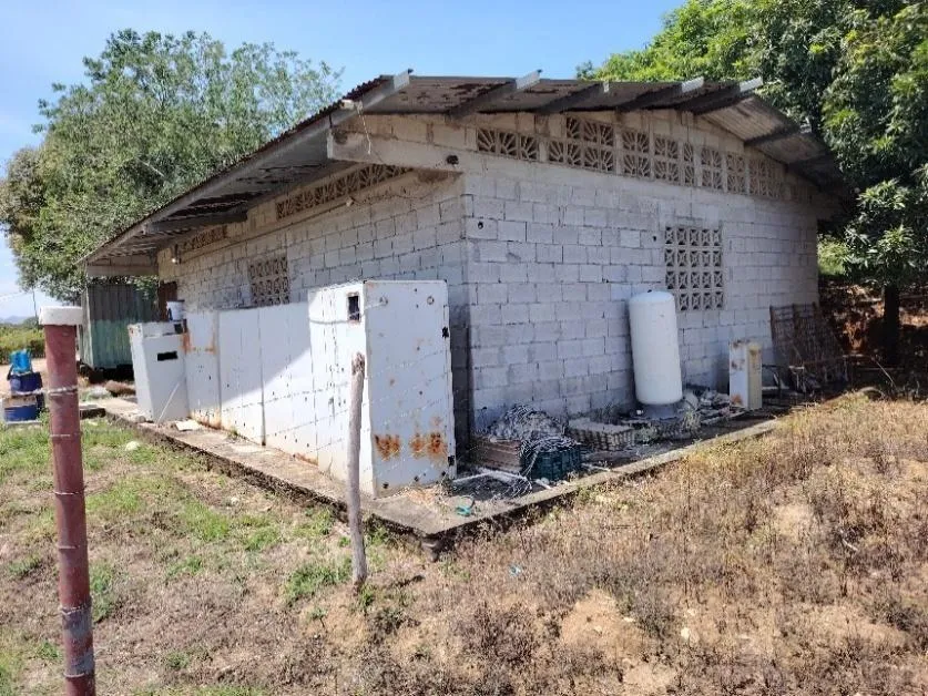 13.6 ha poultry farm with river, Natá, Coclé